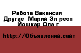 Работа Вакансии - Другие. Марий Эл респ.,Йошкар-Ола г.